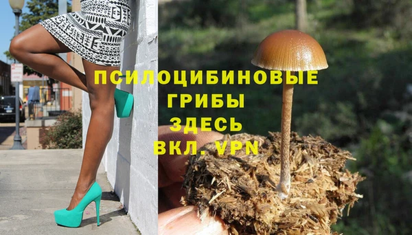 твердый Бородино