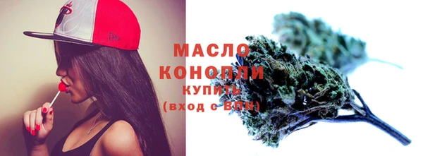 твердый Бородино