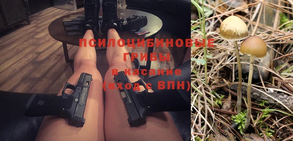 твердый Бородино