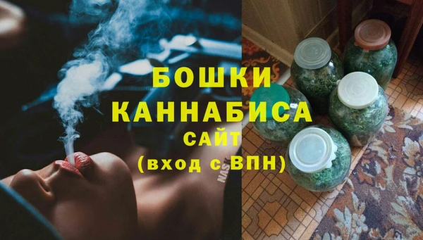 твердый Бородино