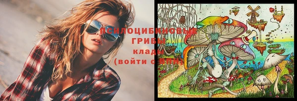 твердый Бородино
