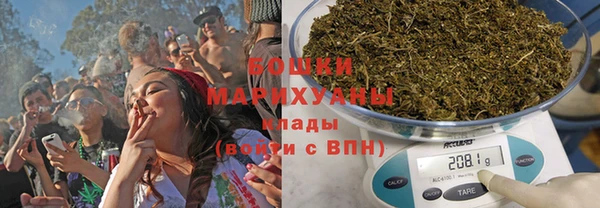 твердый Бородино