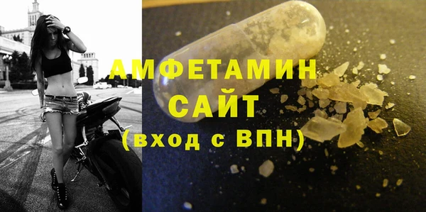твердый Бородино