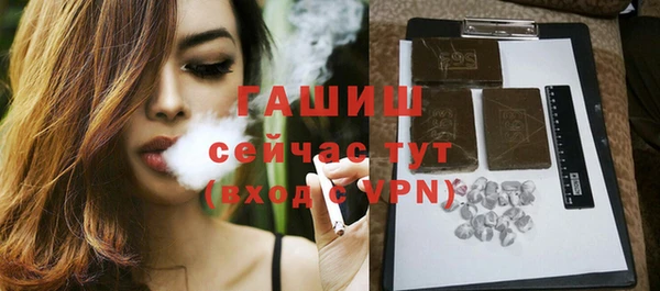 твердый Бородино