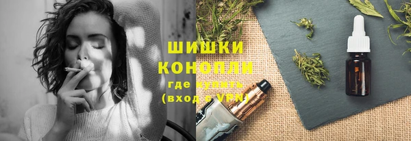 дурь Бронницы
