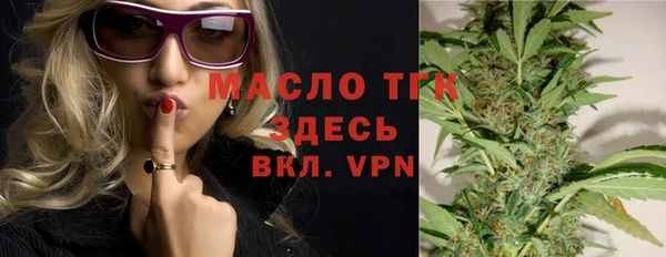 твердый Бородино